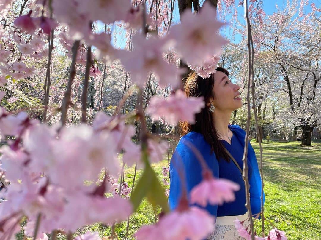 加田晶子さんのインスタグラム写真 - (加田晶子Instagram)「先日、3年ぶりに第二の故郷、青森に行けました😭❤️  弘前の満開の桜を心の友と見られました🥺やはり弘前城の桜は最高ですね❣️日本一だと思っております🌸 この日は真っ青な空に淡いピンクが映えていて、非常に美しかったです😌癒しの空間が広がっていました。 エネルギーチャージできたので、また頑張ります🌷  #弘前さくらまつり #弘前城 #弘前城の桜#桜の名所 #日本一の桜 #満開の桜#sakura #お花見 #3年ぶり #青森 #第二の故郷 #原点#エネルギーチャージ#旅の記録 #フリーアナウンサー #アナウンサー#女子アナ #フリーランス」4月26日 9時17分 - accoo.k