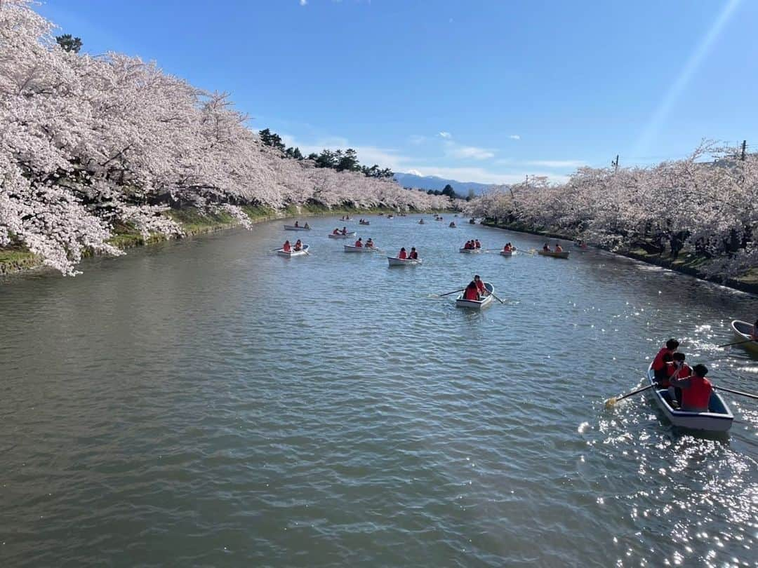 加田晶子さんのインスタグラム写真 - (加田晶子Instagram)「先日、3年ぶりに第二の故郷、青森に行けました😭❤️  弘前の満開の桜を心の友と見られました🥺やはり弘前城の桜は最高ですね❣️日本一だと思っております🌸 この日は真っ青な空に淡いピンクが映えていて、非常に美しかったです😌癒しの空間が広がっていました。 エネルギーチャージできたので、また頑張ります🌷  #弘前さくらまつり #弘前城 #弘前城の桜#桜の名所 #日本一の桜 #満開の桜#sakura #お花見 #3年ぶり #青森 #第二の故郷 #原点#エネルギーチャージ#旅の記録 #フリーアナウンサー #アナウンサー#女子アナ #フリーランス」4月26日 9時17分 - accoo.k