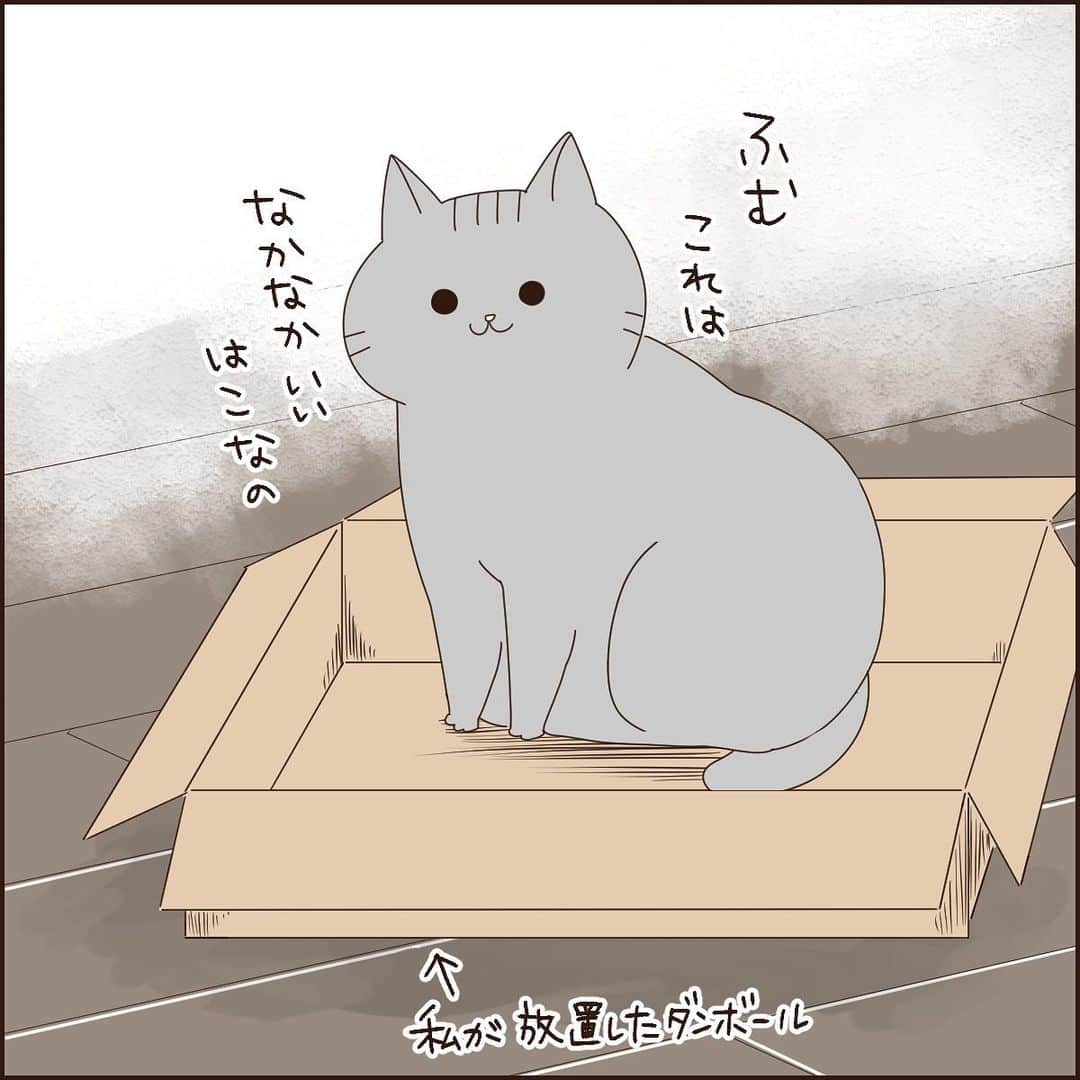 こじめのインスタグラム
