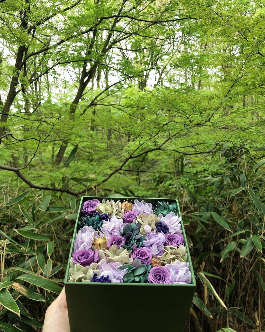 山本里菜さんのインスタグラム写真 - (山本里菜Instagram)「. ニコライバーグマン箱根ガーデンズ  ニコライさんの世界観が詰まった とってもオシャレで素敵な空間。  緑が多くて美味しい空気をたくさん吸ってきました🌱  #ひるおび #ニコライバーグマン #ニコライバーグマン箱根ガーデンズ #ニコライバーグマンカフェ  #強羅」4月26日 11時55分 - rinayamamoto_0622