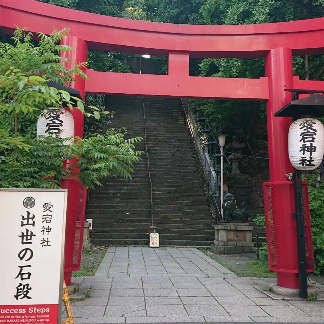 千葉泉のインスタグラム：「近くでお仕事だったので、ご挨拶に行ってきました！！⁡ ⁡白猫ちゃんがいるのは知ってたんだけど……2匹いる、ってことを初めて知った！！！( °_° )⁡ ⁡いつも1匹しか会えてなかったのか……！⁡ ⁡なんか、凄くお得な気分になりました。⁡ ⁡いい事ありますように🙏🍀⁡ ⁡⁡ ⁡ #神社 ⁡ ⁡ #愛宕神社⁡ ⁡ #神社巡り ⁡ ⁡ #ねこ ⁡ ⁡ #白猫」