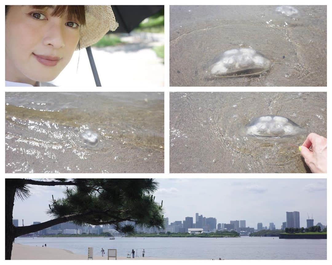 高垣麗子さんのインスタグラム写真 - (高垣麗子Instagram)「* 思い切り夏を感じた今日のロケ🌊☀️  クラゲがいっぱいいたよ𓂃𓂃  ゼリーのような、水饅頭のような、 透き通る透明感に思わず棒でツンツン (刺されないよう念のため...) ちょっと面白くて魅入ってしまいました  しばしアーシングをしたりして 体が緩んだからなのか この後睡魔がやってきた(_ _).｡o○  今夜はビタミンをたっぷり摂る予定✨  * #海ロケ #クラゲ」5月25日 16時08分 - reikotakagaki