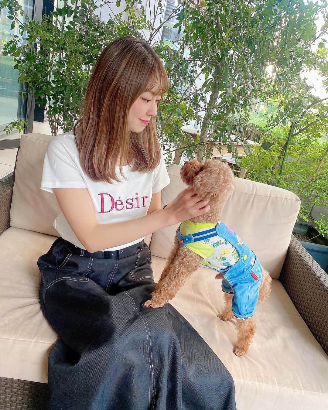 のインスタグラム：「一緒にお出かけできるの 嬉しいし楽しいね🫶🌈💕  #お出かけ #愛犬 #トイプー #トイプードル #ロンくん #親バカ #toypoodle #ランチ #cafe #lunch #渋谷カフェ #渋谷 #shibuya #rienda #grl #ペットパラダイス #happy #smile #kawaii #ロイヤルガーデンカフェ #ロイヤルガーデンカフェ渋谷」