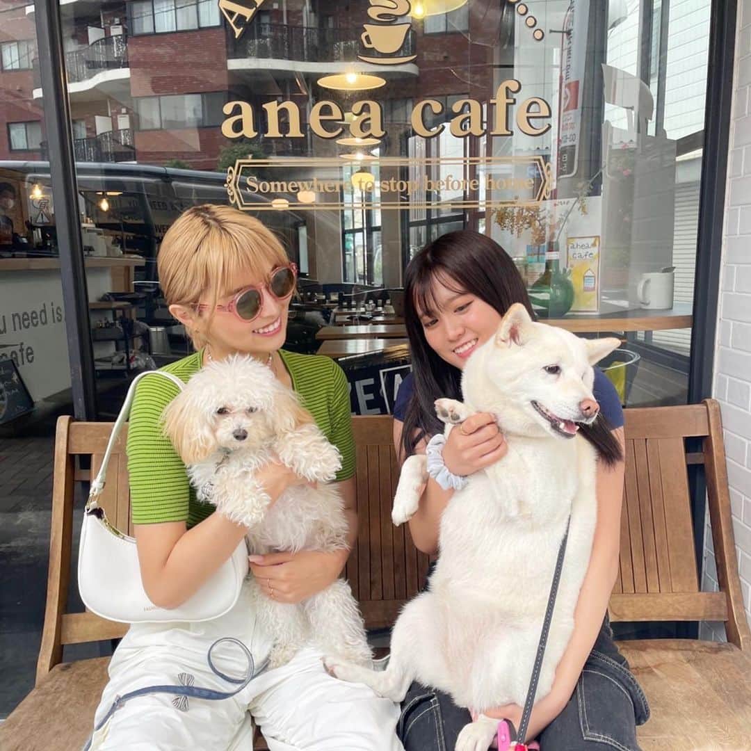 ききまるのグルメインスタ