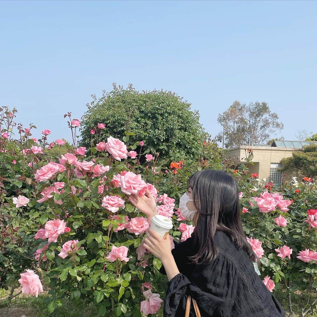 田中千織さんのインスタグラム写真 - (田中千織Instagram)「ピクニック🌿 海ノ中道行ったんだけど超綺麗だった🫶🏻🥹🥹」5月25日 19時38分 - chi0o_109