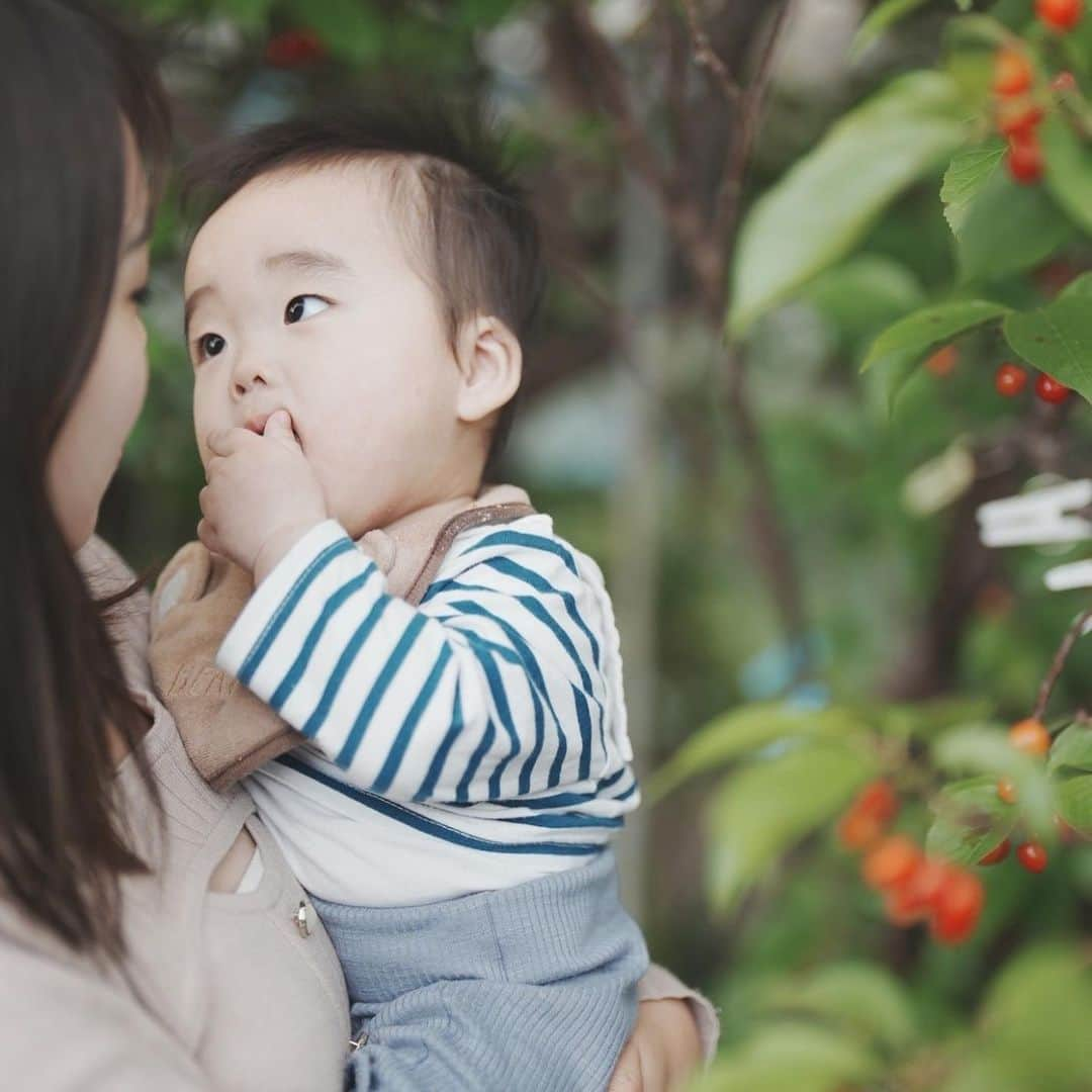 きりのさんのインスタグラム写真 - (きりのInstagram)「そうちゃんと目が合うだけでなんでか嬉しくなります☺️  笑うと片えくぼがくっきり見えて可愛い🥹✨✨  #子どものいる暮らし  #さくらんぼ狩り」5月25日 20時52分 - kirino0808