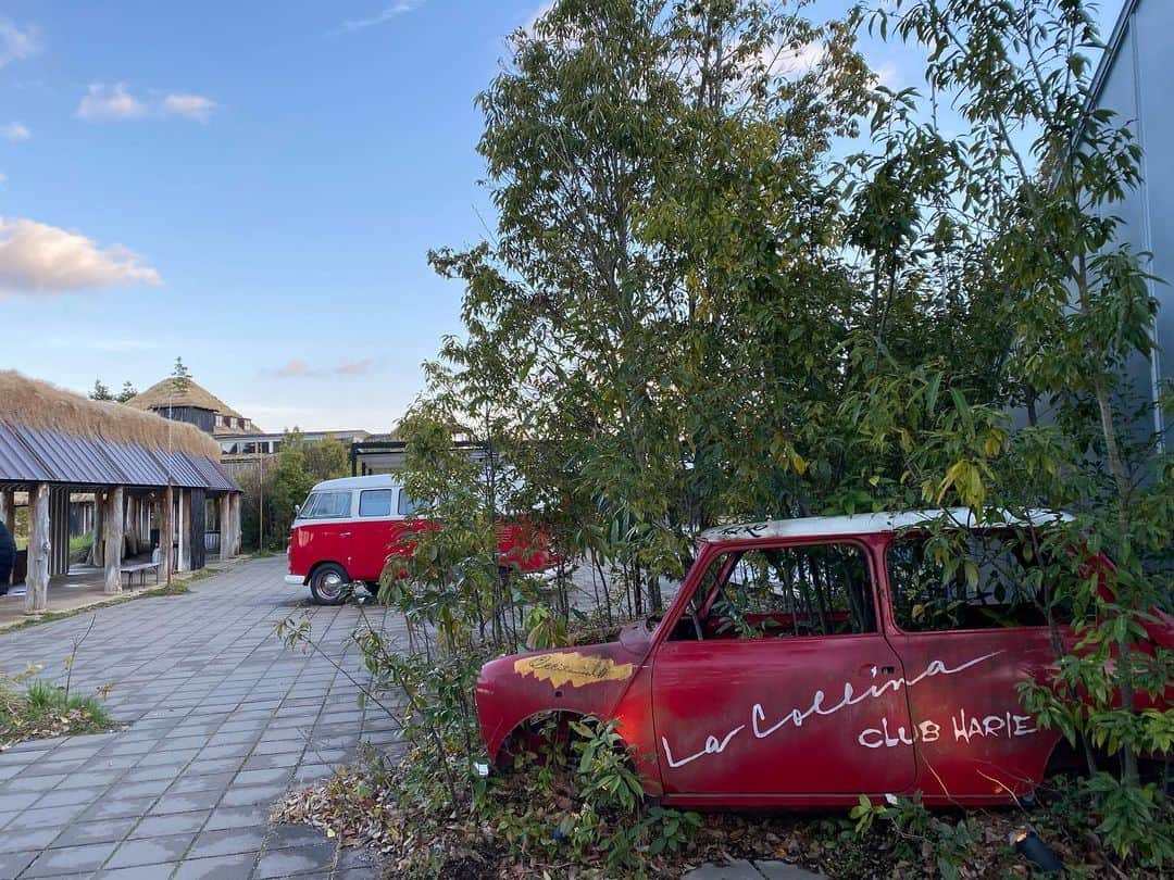 浅野杏奈のグルメインスタ