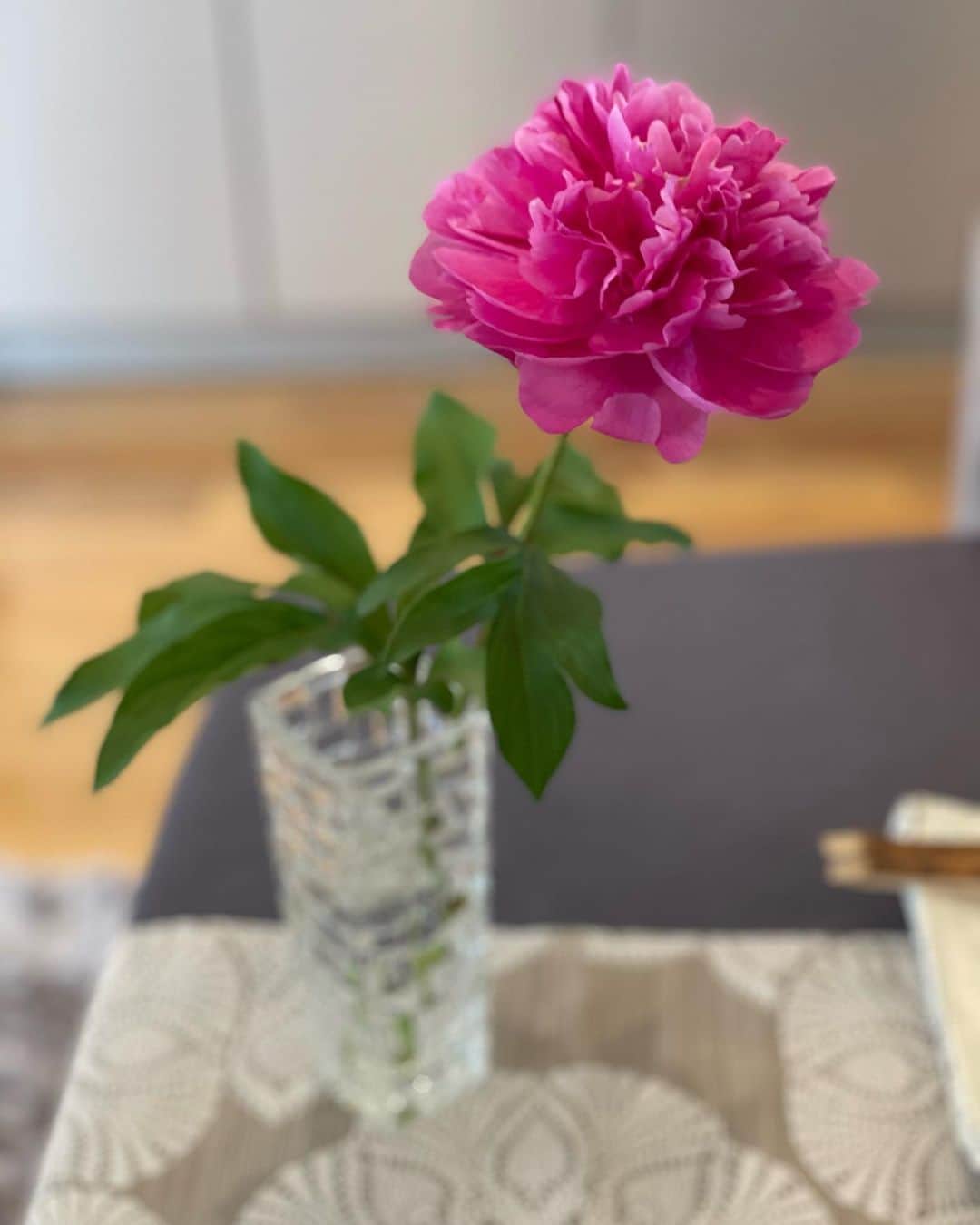 小橋めぐみのインスタグラム：「テーブル茶道のお稽古へ🍵 今日は、お茶箱。 お茶を点てながら、お喋りにも花が咲き🌸　 楽しく、美味しく、穏やかなひとときに、 心が温まりました。  ラストの写真は、お茶の先生が教えてくださった、しいたけチップス。 初めて食べたのですが、 美味しい‼︎😲何ですかコレ‼︎😲 と、大興奮。 食べたことある方いらっしゃいますか❓ 通販はないみたいで、 買いに行きたくてうずうずしてます🍄 #テーブル茶道 #茶箱 #主菓子のピンボケよ😢」
