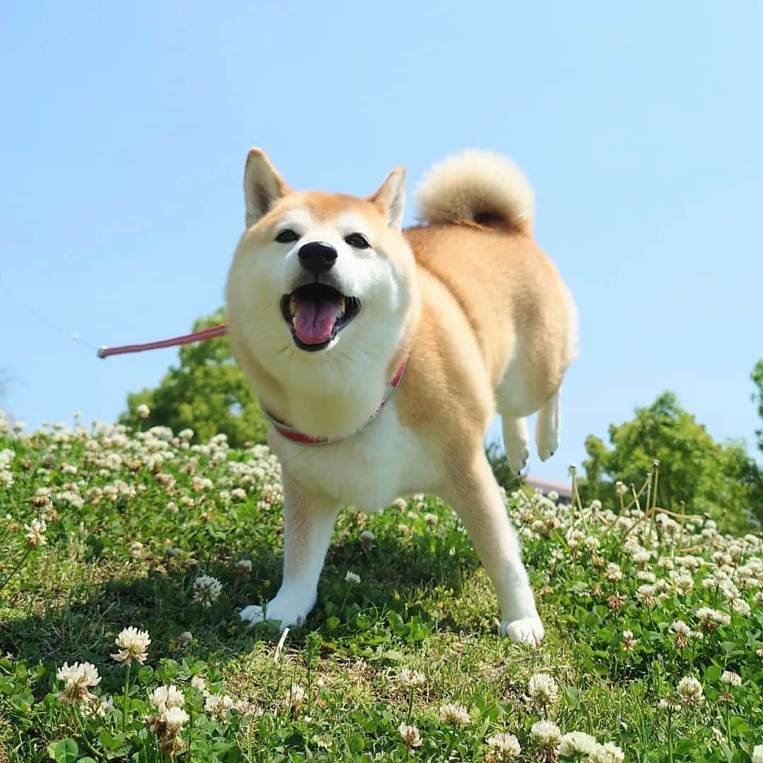 ちゃみのインスタグラム