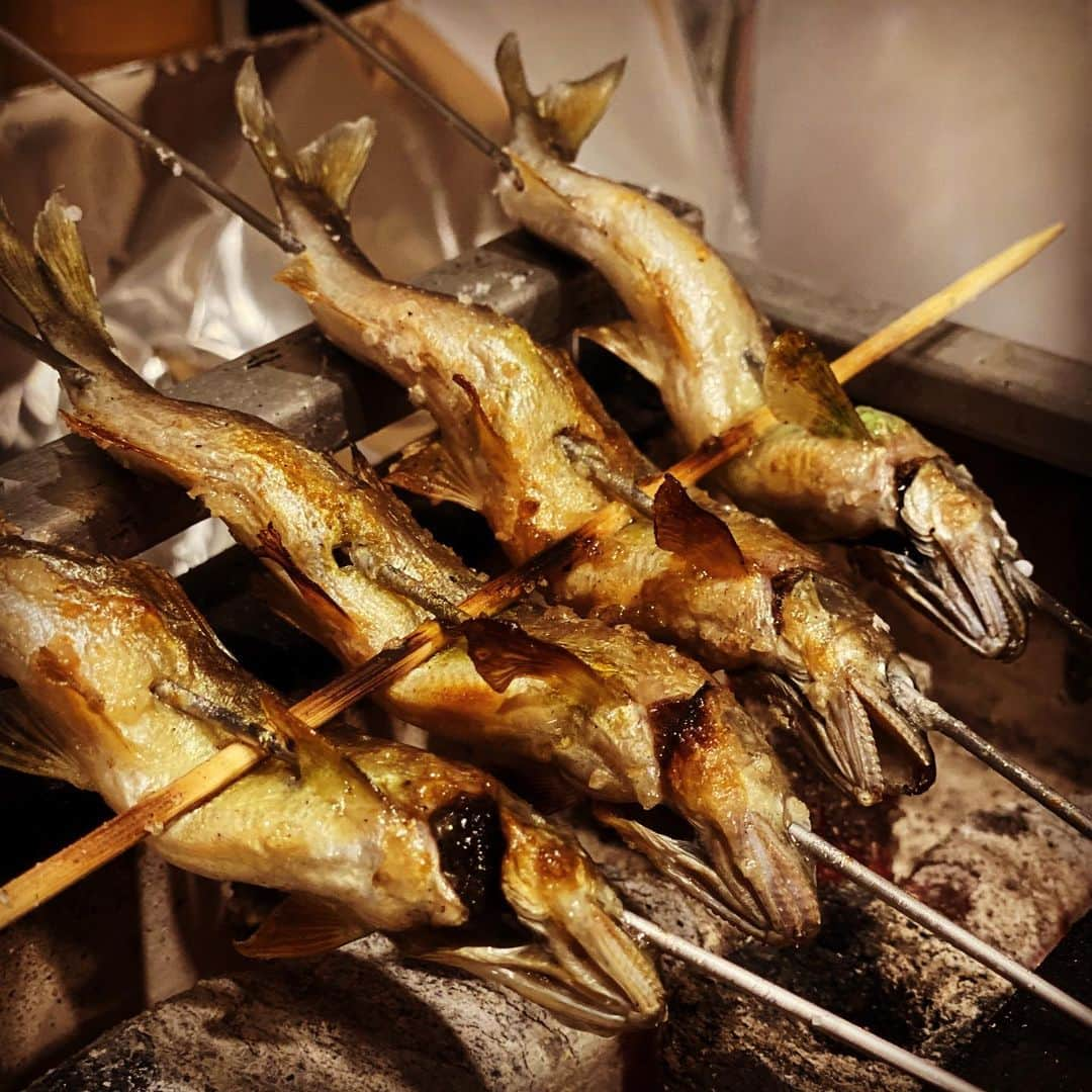 矢島里佳さんのインスタグラム写真 - (矢島里佳Instagram)「夫の趣味、鮎のくし打ち。 毎年5月ごろから週末は、炭火で焼いた、鮎の踊り串が食卓に並びます🧑🏻‍🦱✨  生きている鮎を買ってきて、焼いていただくので、本当に命をいただく瞬間にも立ち合います。 いただきますって、こういうことだよなぁと毎回感じながら、ありがたく残さず命をいただきます😌  我が家の日常の中で、いただきますの意味を、息子は少しずつ理解して行くのだと思います。  息子がもう少し大きくなったら、鮎の命に敬意を払いながら、夫と一緒に鮎のくし打ちするようになるのかなぁ👶🏻  #子育て #子育てママ #男の子ママ #1歳 #赤ちゃんのいる暮らし #ていねいな暮らし #成長記録 #ワーキングママ #赤ちゃん  #子育て　 #赤ちゃんの五感  #鮎  #鮎の踊り串  #炭火焼き  #食育」5月21日 21時28分 - rikayajima