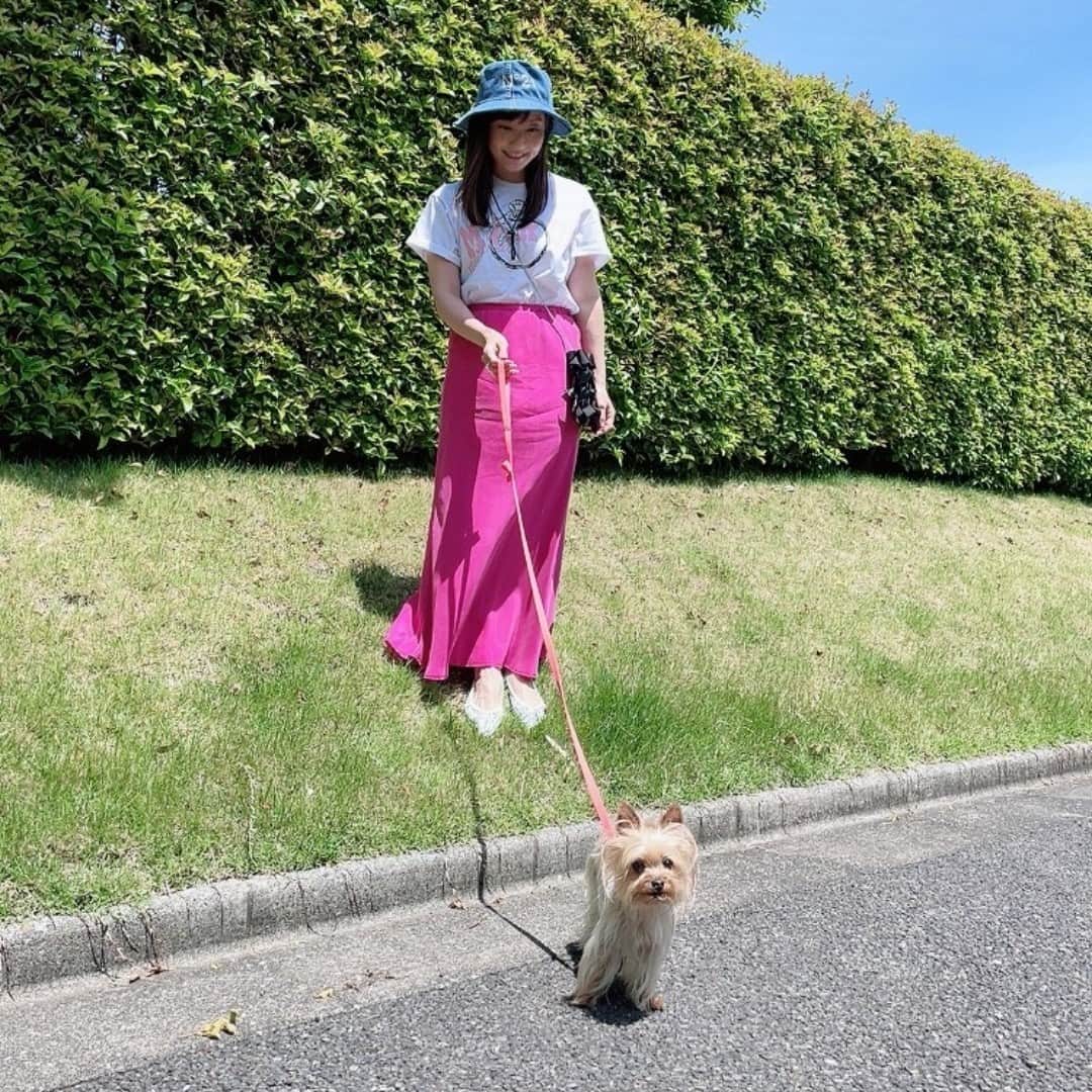 テレビ朝日アナウンサー公式さんのインスタグラム写真 - (テレビ朝日アナウンサー公式Instagram)「#島本アナ の癒しとは？？ 「私にとっての癒しは愛犬アンジュとの時間です。 ヨークシャテリアの女の子。 とても優しい性格です。 梅雨や暑い夏になると散歩できる時間が限られてしまうので、この季節は最高のお散歩時間を楽しんでいます。」 #島本真衣　@mai_shimamoto_ex #アナウンサーの癒し #癒し #愛犬 #お散歩」5月22日 13時00分 - tvasahi_announcers