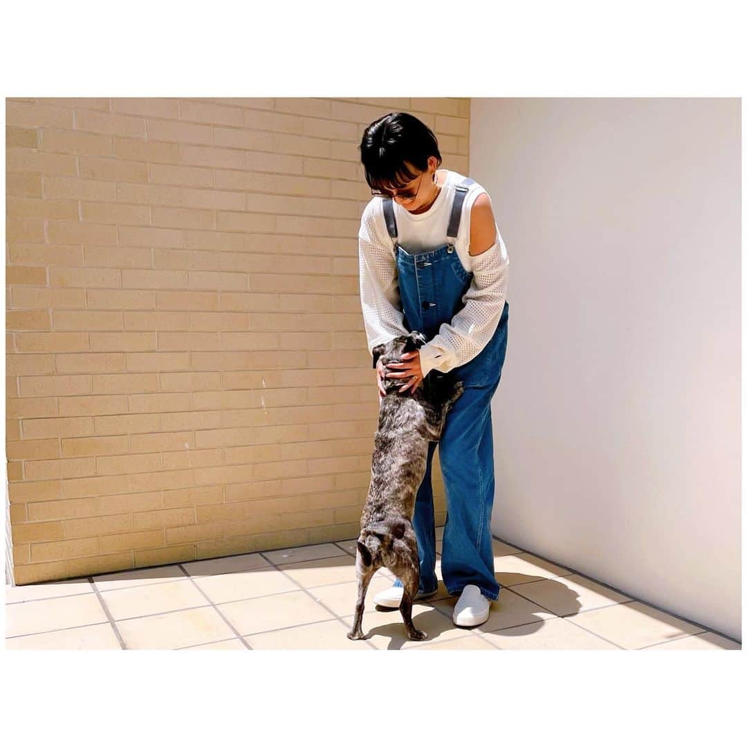 李ヒャンのインスタグラム