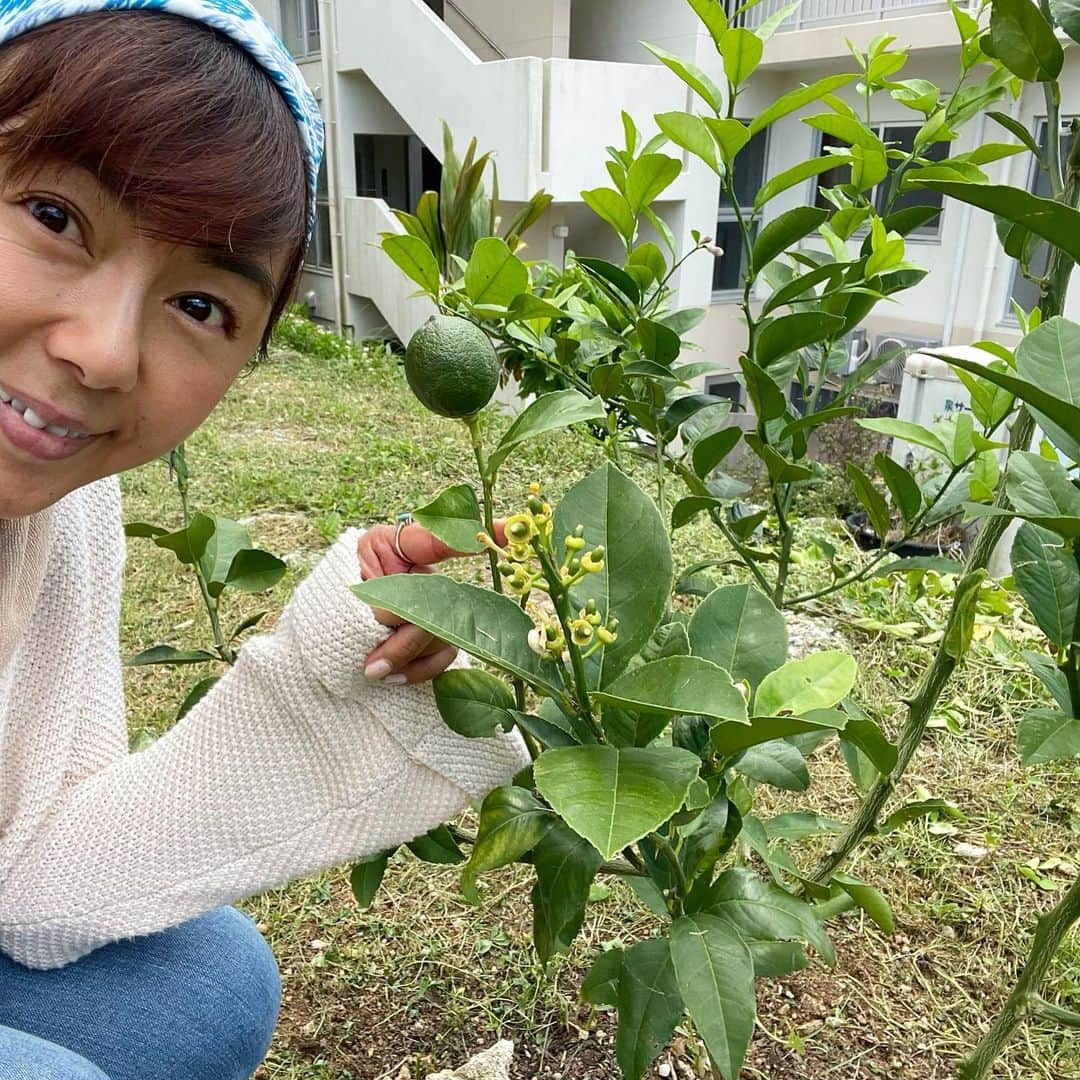 田中律子のインスタグラム