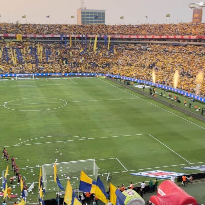 フロリアン・トヴァンのインスタグラム：「MUCHAS GRACIAS a todos por este increíble apoyo !! Triste pero vamos a regresar más fuerte . Muy orgulloso de ser parte de la familia Tigres 🐯💛 @clubtigresoficial @weblibresylokos」