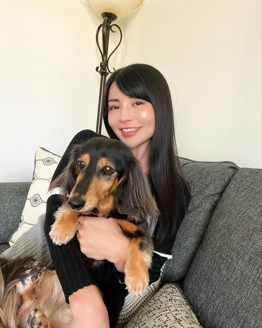 Meruさんのインスタグラム写真 Meruinstagram Nemo Pup Dachshund Tokyo Me Chicago ミニチュアダックスフンド ブラックタン かわいい パピー 赤ちゃん 14歳 おっきい赤ちゃん 5月23日 8時34分 Meruchi0131