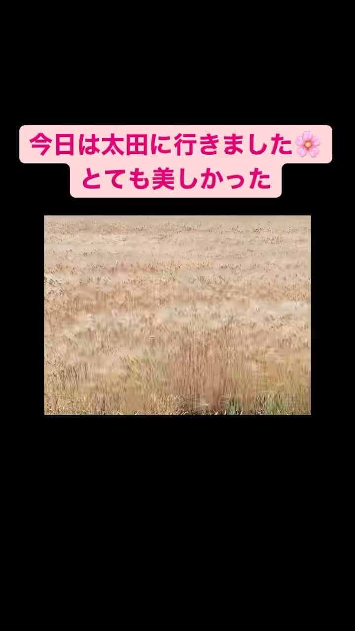 玉城ちはるのインスタグラム：「今日は群馬の太田に行きました^_^  下道で1時間ちょっとのドライブ❤️  あまりの美しさに撮りました^_^」