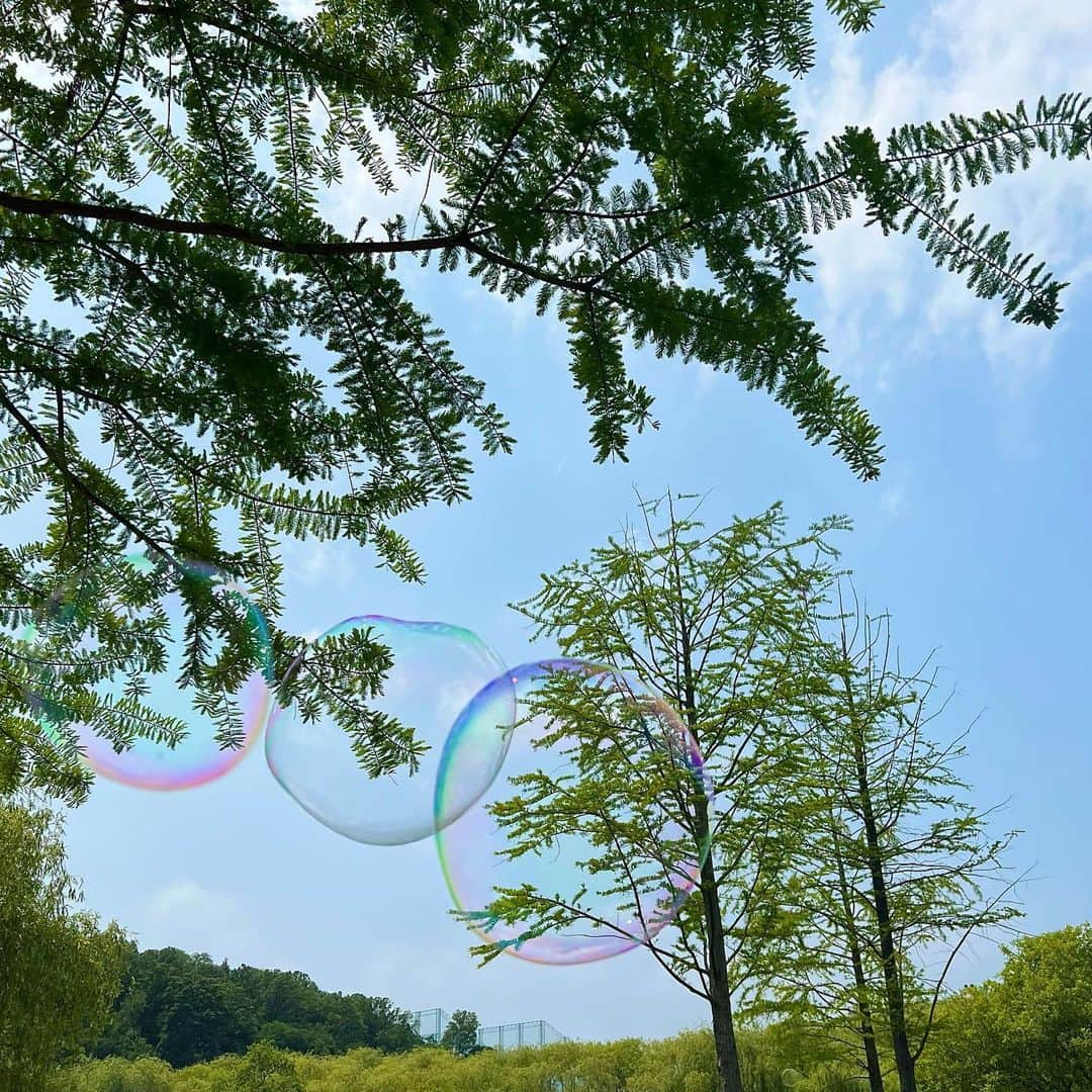 ジスさんのインスタグラム写真 - (ジスInstagram)「☁️🌳🫧」5月23日 19時46分 - sooyaaa__