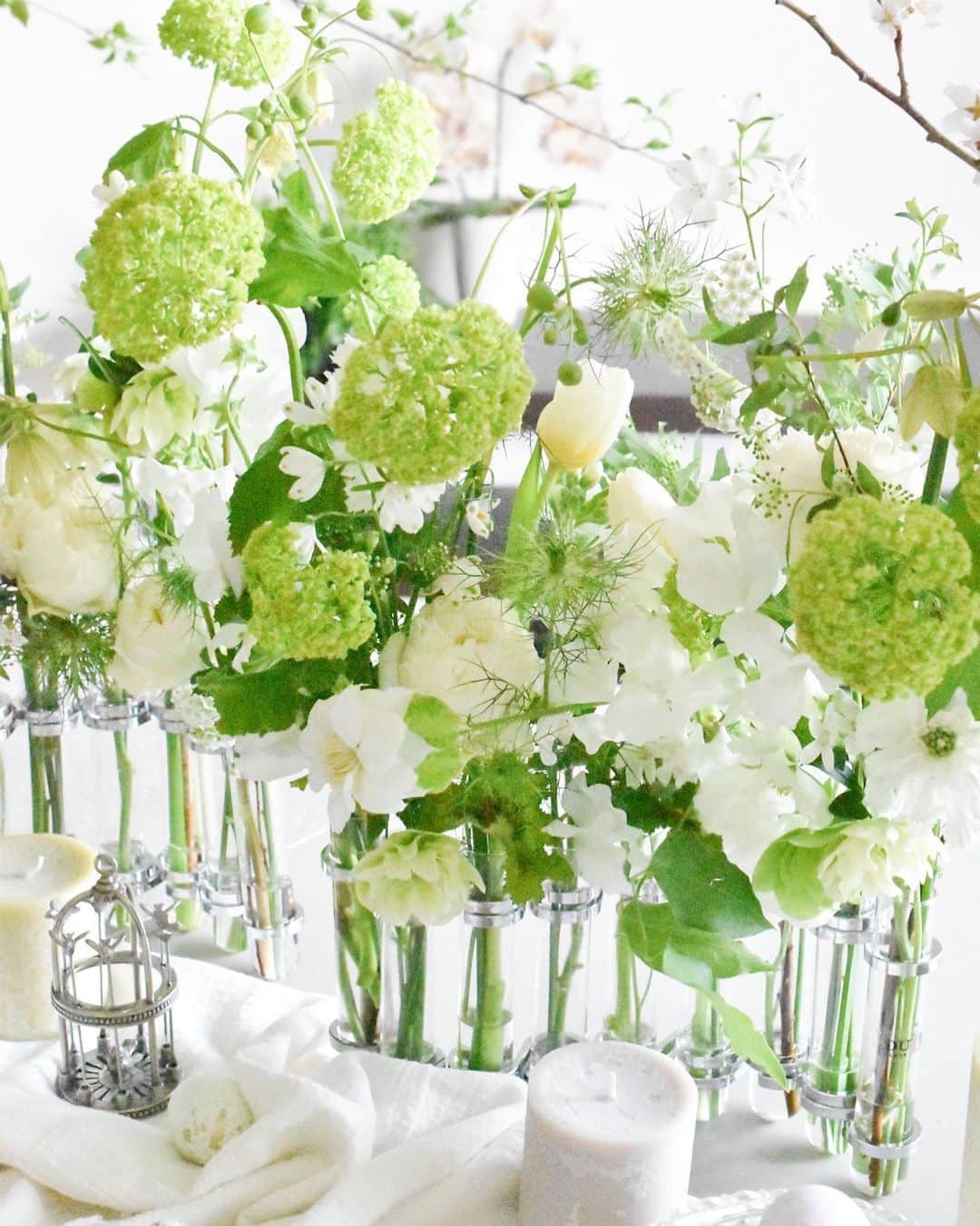音羽紀香（のんちょ）さんのインスタグラム写真 - (音羽紀香（のんちょ）Instagram)「教室で生けたお花達🌱 白✖︎グリーンが気に入って、この日からお家の植物と花は全てこのカラーです☺️  とにかくお部屋が爽やかになって癒されます☺️🌱  ＊花瓶＊¥2,200- #dulton  #ダルトンリンクチューブベース   #フラワーアレンジメント  #フラワーベース　#フラワー　#フラワー教室  #お花　#お花のある暮らし  #お花のある生活 #花畑」5月24日 8時33分 - noncho0912