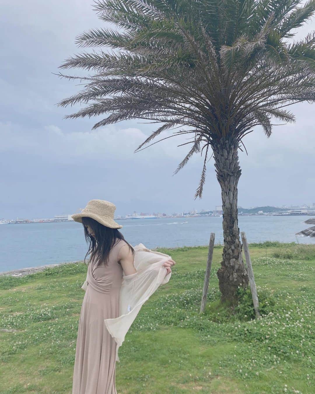 綺音さんのインスタグラム写真 - (綺音Instagram)「🌴 . . 椰子の木ですよね？これ 沖縄の海入りたかったな〜😭 . . #海 #海辺 #沖縄 #instagood #beach」5月24日 12時20分 - kannagi_ayane