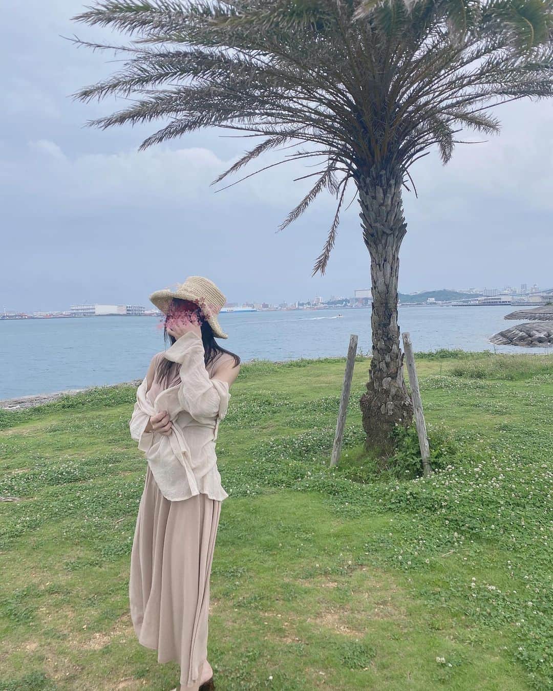 綺音のインスタグラム：「🌴 . . 椰子の木ですよね？これ 沖縄の海入りたかったな〜😭 . . #海 #海辺 #沖縄 #instagood #beach」