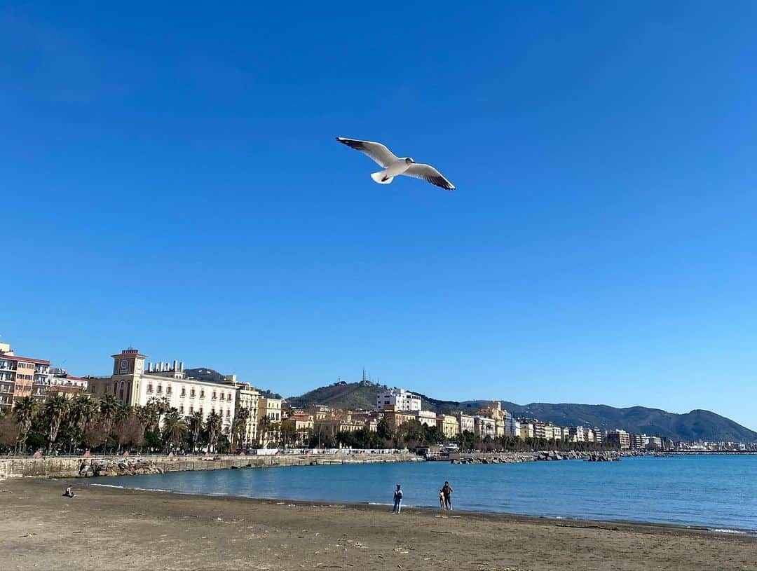 シモーネ・ヴェルディのインスタグラム：「Ho sentito tanti di voi ringraziarmi, ma la realtà è che sono io a dover ringraziare voi, dal profondo del mio cuore.  Sei stata la luce nel buio, hai avuto la capacità di farmi ritrovare serenità e gioia con il pallone tra i piedi e nella vita personale. Una città meravigliosa con persone speciali sempre pronte ad aiutare: l’amore che mi dimostrate tutti i giorni mi commuove. L’urlo dei tifosi che grida il mio nome dopo un goal sarà tra i più bei ricordi dalla mia vita. Certi amori ritornano, come le onde del mare. Chissà cosa ci riserverà il futuro.  Per ora non posso fare altro che ringraziarvi:  STU CORE T’APPARTEN.  Simone」