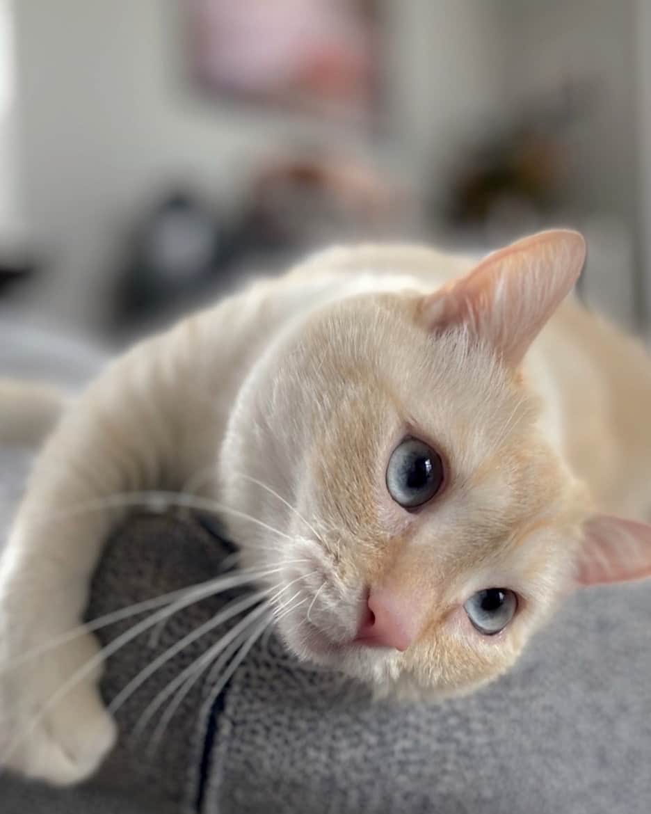 BENIのインスタグラム：「do you love me🥺」