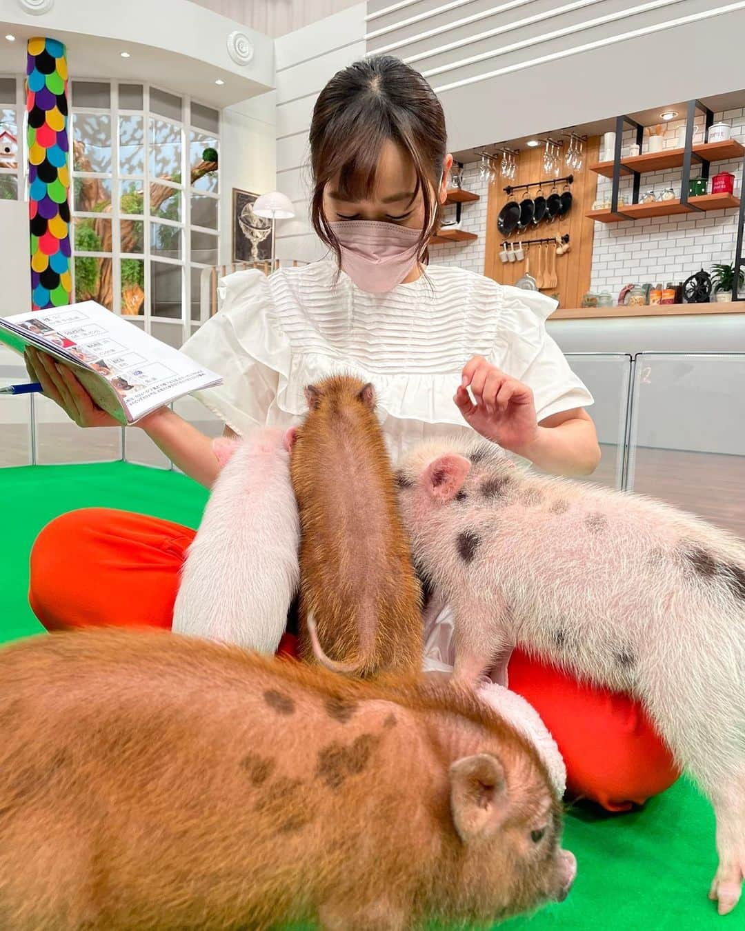 松原朋美のインスタグラム：「大とくさんスペシャルゲスト🐷 子ブタちゃん5匹が可愛すぎました🥹❤️  人懐っこくて、人のお膝の上が大好きな子ブタちゃんたち🥹♡ 生後3ヶ月で3キロほどしかないんです🐷  わたくし母性が爆発しました🤯♡笑  動物はやはり癒されますね☺️ 朝から癒しをありがとうございました！  #大とくさん #マイピッグカフェ #マイクロブタちゃん #松原朋美」