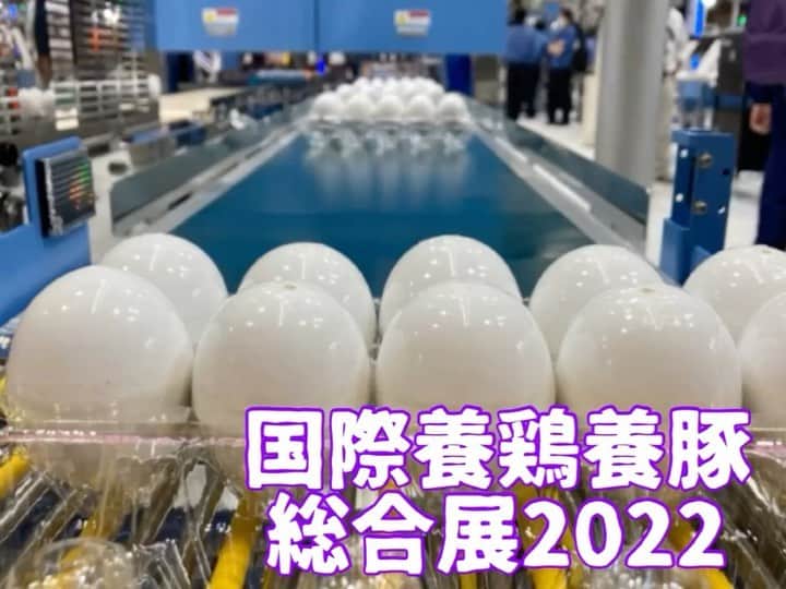 小谷あゆみのインスタグラム：「27.28.29日まで3日間開催されたIPPS 国際養鶏養豚総合展の魅力 動画にしました！ 出展企業220社のほんの一部だけ公開〜」