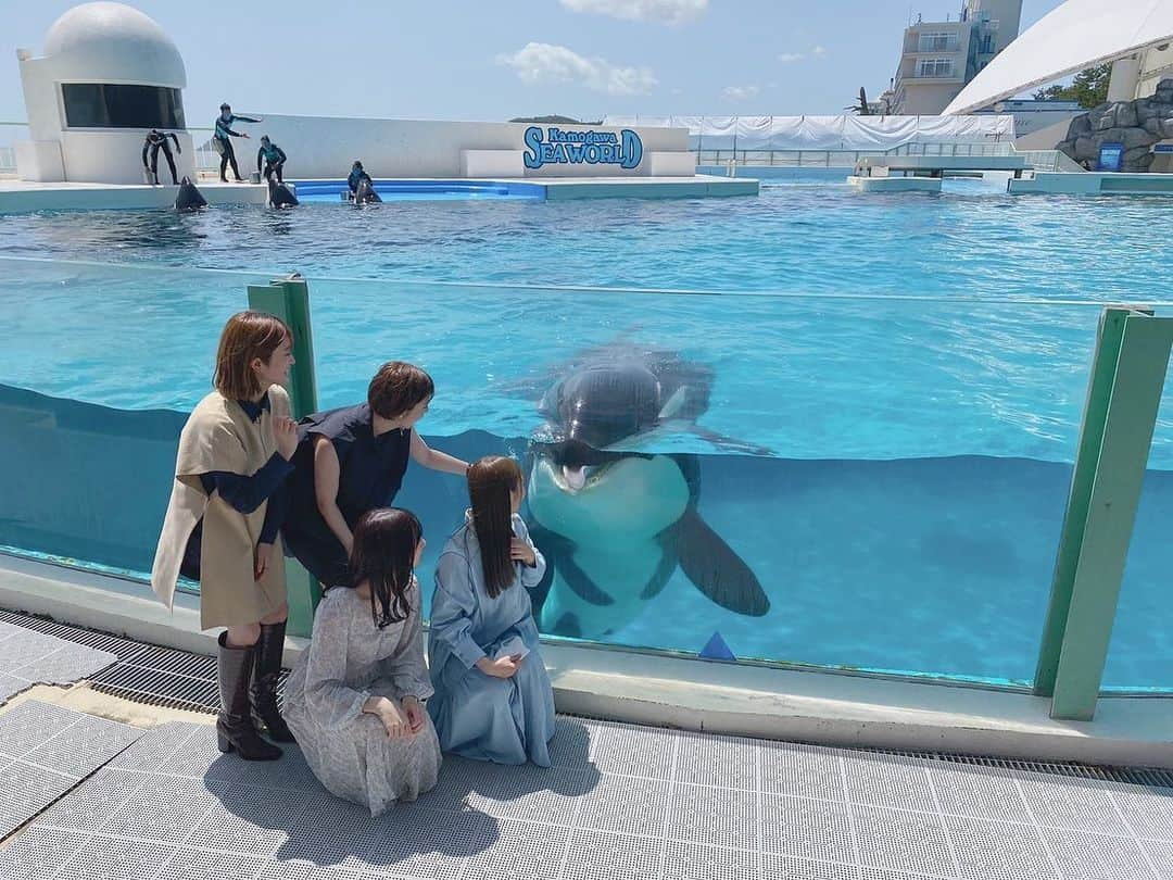 樋口日奈さんのインスタグラム写真 - (樋口日奈Instagram)「そしてそして！🐬 公式YouTubeチャンネル「乃木坂配信中」にて、きいちゃん、あやね、まあやと鴨川シーワールドへ行った様子が公開されています！ きいちゃんラストの思い出旅🥺 ぜひみてください！！」5月1日 14時23分 - higuchi_hina_official