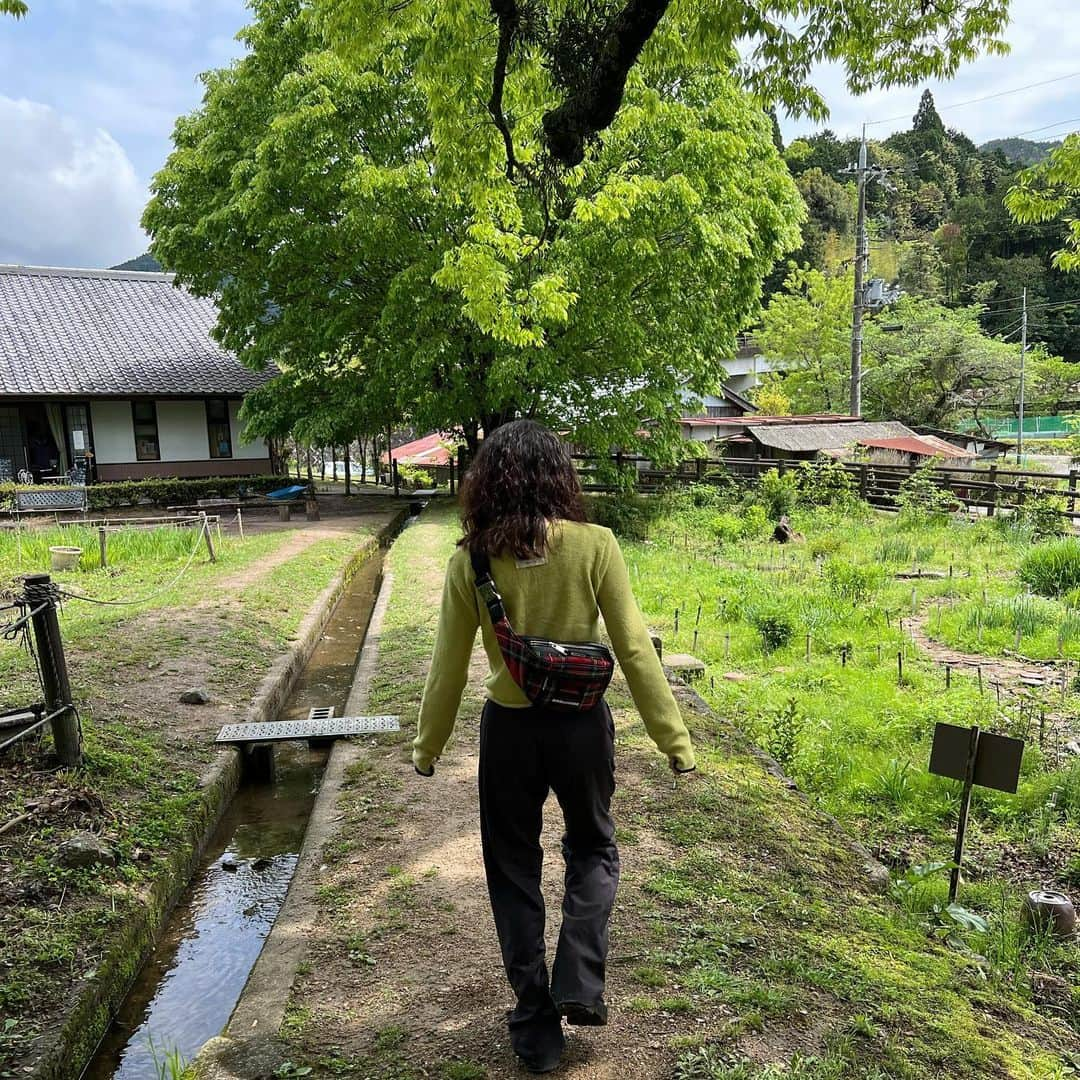 薮下柊さんのインスタグラム写真 - (薮下柊Instagram)「自然Vibes 🌲🌳🌱  野間の大けやきからは、神秘的なパワーを感じて、なんか凄い力を分けてもらえた気がしました💚 リフレッシュできた1日でした✨  #能勢」5月1日 18時04分 - __yabushita_shu__