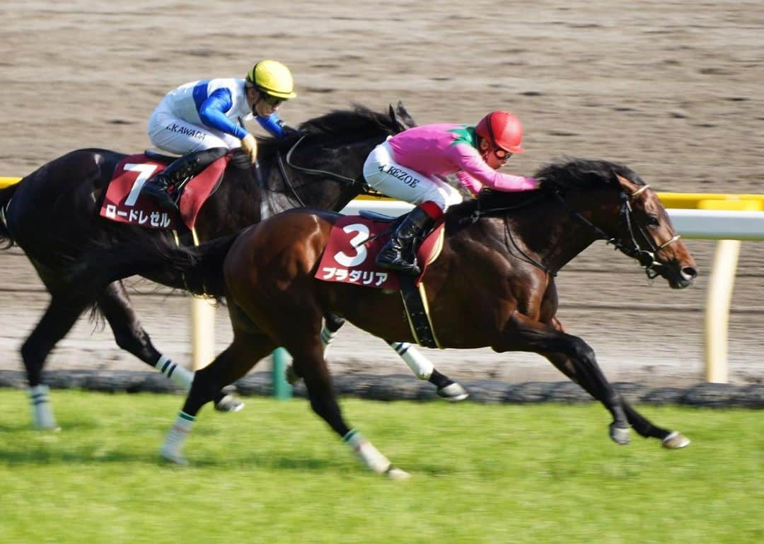 池添謙一のインスタグラム：「青葉賞（G2） プラダリア🐴 内容もよくダービーの切符を取れました✌️ 無事に本番を。」