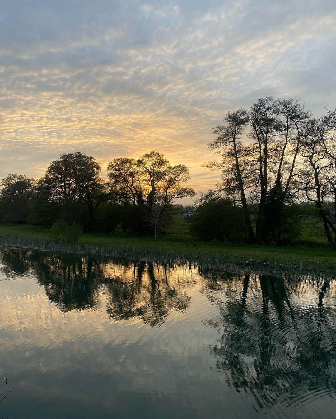 カヤ・スコデラリオさんのインスタグラム写真 - (カヤ・スコデラリオInstagram)「Bringing a bit of North London to the Cotswolds…」5月2日 3時53分 - kayascods