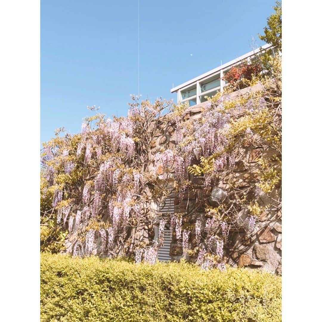 紗栄子のグルメインスタ