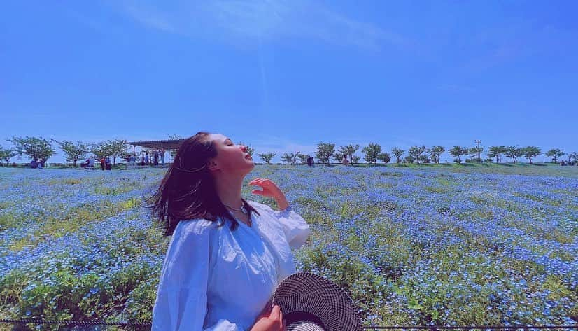 吉田セイラのインスタグラム：「この季節☀️晴れてる☀️日最高❤️ #ドライブ　#花の絨毯みたいのはずだった #暴風雨被害　#でも綺麗だった」