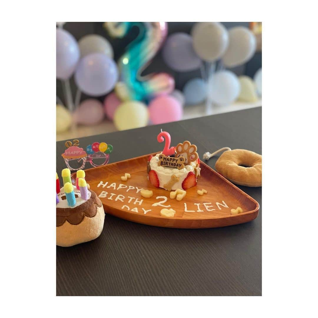 宮澤智さんのインスタグラム写真 - (宮澤智Instagram)「★ 手作り誕生日ケーキ🎂 さつまいもとかぼちゃとプレーンヨーグルトだけを使って作ったケーキに リアンの好きなフルーツを飾って プレゼントでもらったクッキーも飾ったら どんどん豪華に！！😂😆✨  結果、フルーツも食べ過ぎに注意して 取り除きつつ（人間が食べる） ケーキも少しずつ日を分けて食べます🐶  #トイプードル #犬用ケーキ #誕生日」5月3日 1時17分 - tomo.miyazawa