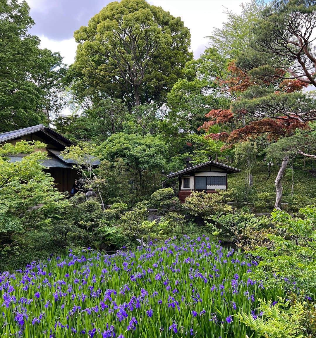 エレナ・アレジ・後藤さんのインスタグラム写真 - (エレナ・アレジ・後藤Instagram)「life lately 🌱🌷💚」5月2日 18時48分 - alesihelena