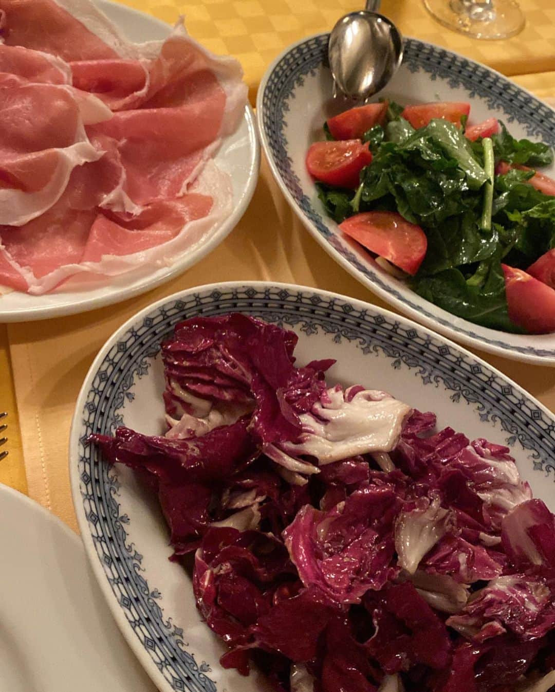 エレナ・アレジ・後藤さんのインスタグラム写真 - (エレナ・アレジ・後藤Instagram)「life lately 🌱🌷💚」5月2日 18時48分 - alesihelena