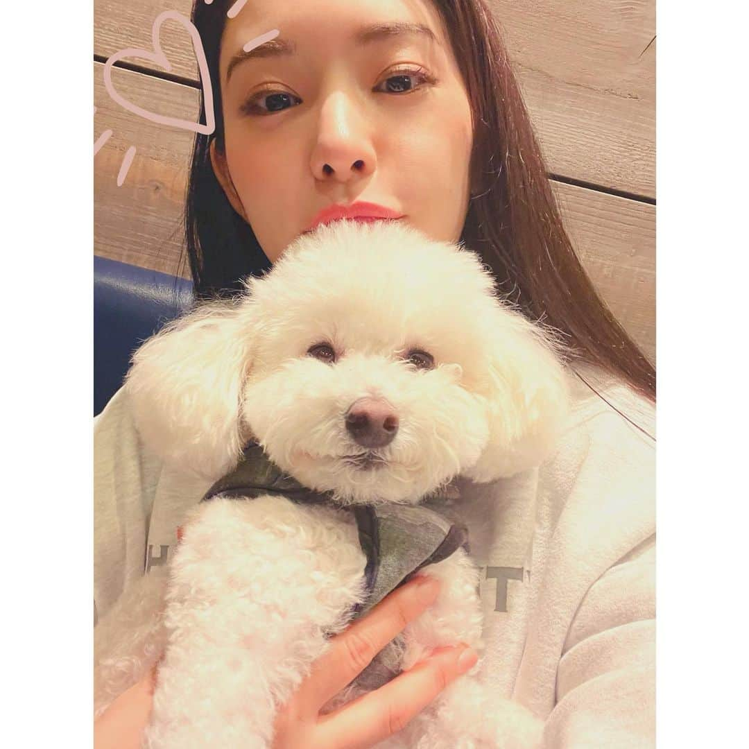 めぐりのインスタグラム：「우리 둘째 아들🐩💕엄마 닮았지😗😗😗」