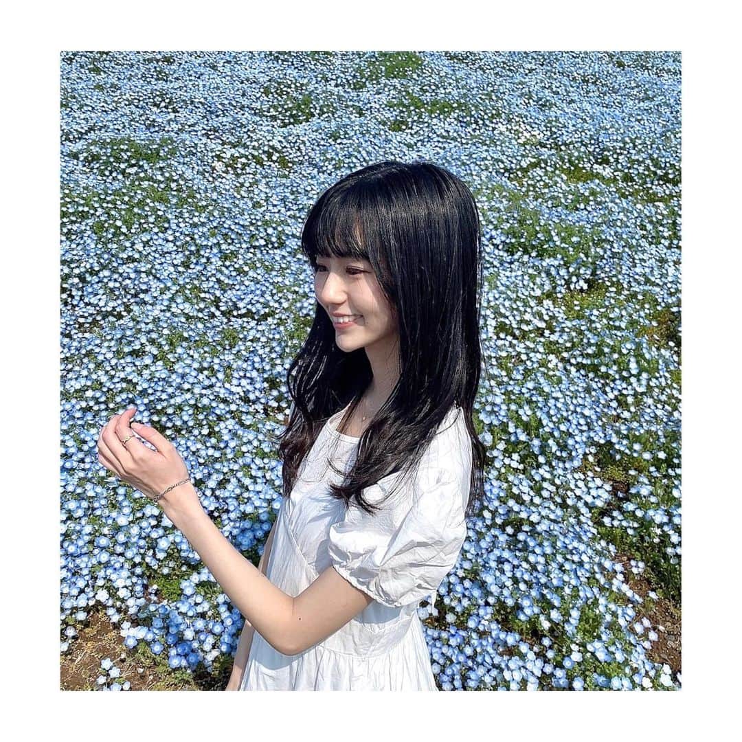 大島璃音のインスタグラム：「GWいかがお過ごしでしょうか？  私は、先日ずっと行ってみたかった国営ひたち海浜公園に行ってきました！ ネモフィラと青空の境が一瞬分からなかったくらい一面真っ青！💠とっても美しかったです💙  今日からの三連休は広く青空が広がり、お出かけ日和となりそうです☀️ 素敵な日をお過ごしください☺️」