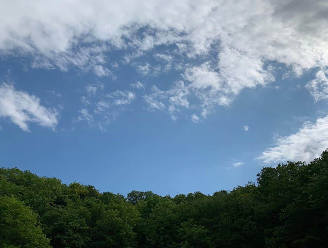 小野真弓さんのインスタグラム写真 - (小野真弓Instagram)「おはようございます☺️ 清々しい天気🌞✨ 気持ちよくて〜思わずごろりんちょ〜🙋‍♀️🐶🐶  ハルくんも 久しぶりのしっかり散歩😆🐾 緑が濃くなり、 季節が進みます〜🌿✨  連休、いかがお過ごしですか❓^_^ 今日も良い一日を＼(^ω^)／  #チワワ#ハナちゃん #チワマル#ハルくん #雑種猫兄妹#アオくん#ナナちゃん #お泊まり猫#ほぼ家の子#ちりんくん #犬と猫のいる暮らし#犬猫日記 #わんさんぽ風景#千葉暮らし  🐏🐾 オレ様の全快祝いのコメント✨ みなちゃま、ありがとうございました🐾☺️  三週間充電した分、 いたずらして、おかーさんを喜こばせようと思います😏😈😆これからもよろちくです😊  絶好調の〜😆 ハルくんでちた🐾」5月3日 8時12分 - hanaharuaroi