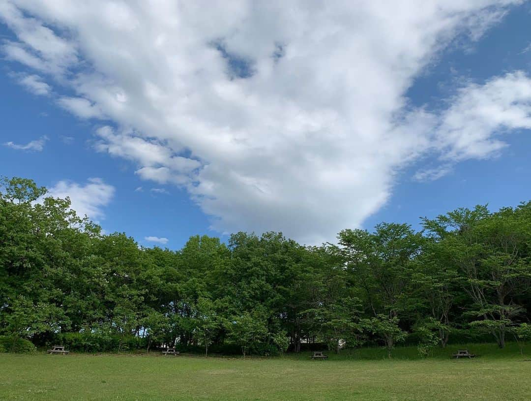 小野真弓さんのインスタグラム写真 - (小野真弓Instagram)「おはようございます☺️ 清々しい天気🌞✨ 気持ちよくて〜思わずごろりんちょ〜🙋‍♀️🐶🐶  ハルくんも 久しぶりのしっかり散歩😆🐾 緑が濃くなり、 季節が進みます〜🌿✨  連休、いかがお過ごしですか❓^_^ 今日も良い一日を＼(^ω^)／  #チワワ#ハナちゃん #チワマル#ハルくん #雑種猫兄妹#アオくん#ナナちゃん #お泊まり猫#ほぼ家の子#ちりんくん #犬と猫のいる暮らし#犬猫日記 #わんさんぽ風景#千葉暮らし  🐏🐾 オレ様の全快祝いのコメント✨ みなちゃま、ありがとうございました🐾☺️  三週間充電した分、 いたずらして、おかーさんを喜こばせようと思います😏😈😆これからもよろちくです😊  絶好調の〜😆 ハルくんでちた🐾」5月3日 8時12分 - hanaharuaroi