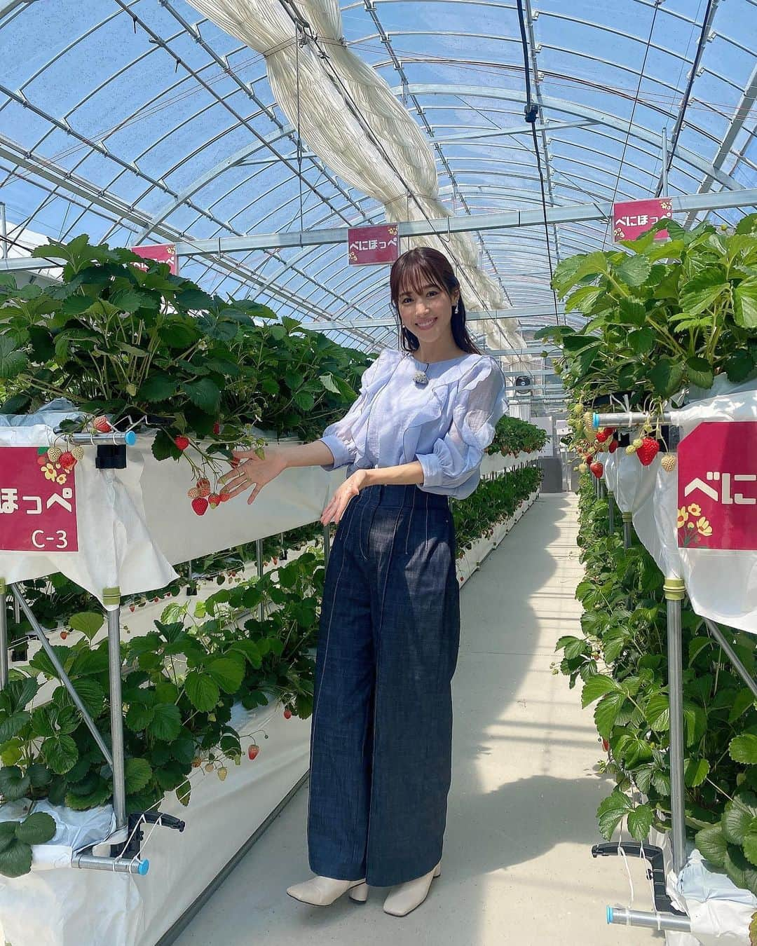 鷲見玲奈さんのインスタグラム写真 - (鷲見玲奈Instagram)「. チャント！ 今日はお酢×イチゴです！！！！🍓   いちご狩りなんて何年ぶりだろう🥹 ストロベリーパークみふねにお邪魔しました✨  ここのイチゴの甘さたるや🥺💓 食べる手が止まりませんでした…  ぜひまたプライベートでお邪魔したいです！！  そして、イチゴのお酢と合う意外な料理とは…？！  #チャント #お酢活ライフ」5月3日 12時18分 - sumi__reina