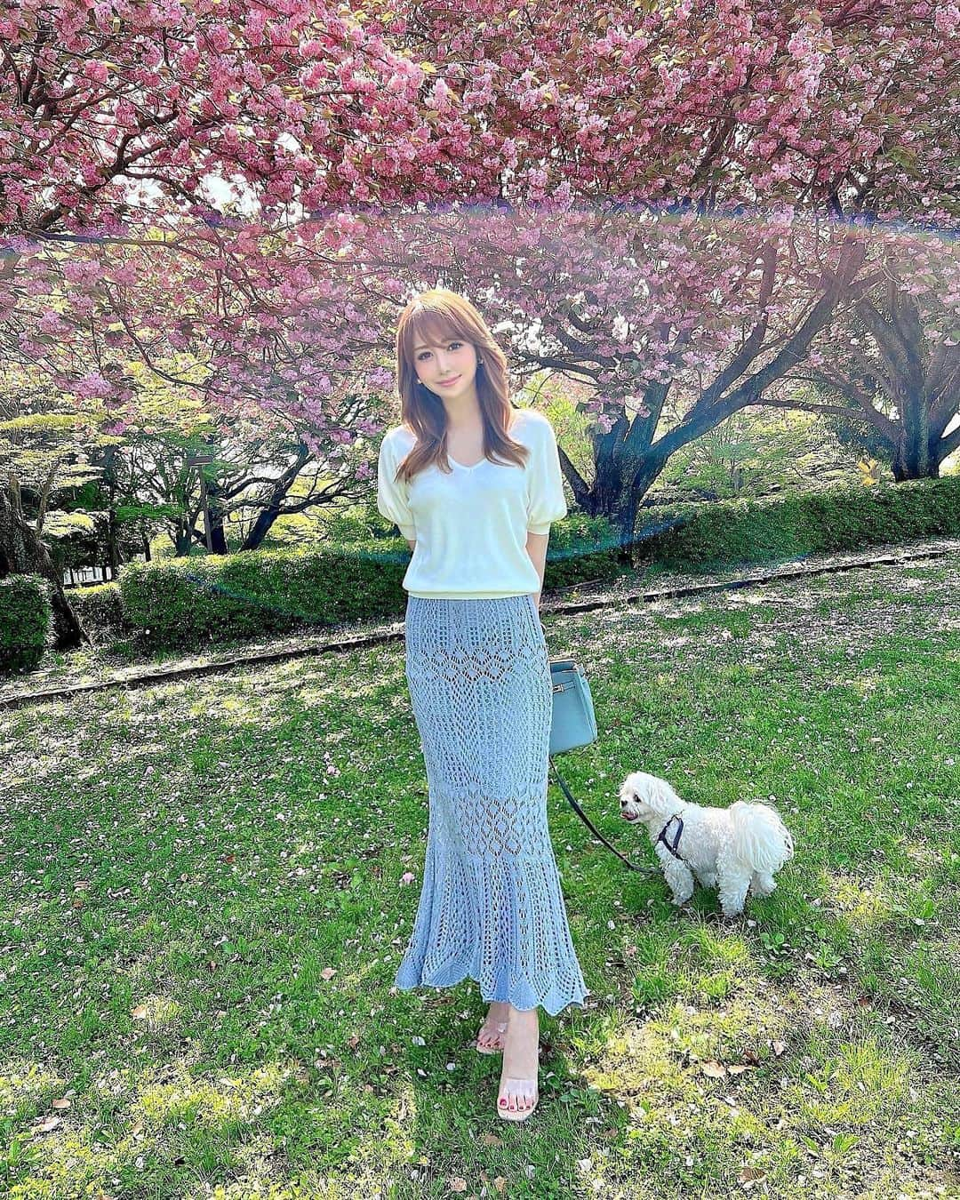 桃華絵里さんのインスタグラム写真 - (桃華絵里Instagram)「T o d a y ' s 🐶 💕 🌈  ３枚目、シーくんの座り方が 赤ちゃん👶🏼  小さな手をギュッとして 私の服を掴んでいるところも  足の投げ出し方がベア感なところも…🧸笑  もう全てが愛おしいです🥹💗  私服  マーメイド美シルエットでストレッチ抜群のスカート🧜🏻‍♀️  動きやすいのはもちろん  フラットシューズでも 美バランスが 取りやすく とても重宝♡  膝上くらいの丈の裏地（ストレッチ性）が付いていて 脚の透け感が 素敵を演出してくれます🦵🏻  お気に入りで 他カラーもgetしました✌︎  パフスリーブTOPSは 何にでも合わせやすいので  こちらもイロチ買い決定アイテム♡  GW 最高のお天気🌤  八重桜（牡丹桜）がとても美しい🌸  お休みの皆様も お仕事の皆様も 素敵なGW期間でありますように😊💕  #fashion #mocoas #dog #love  #今日のコーデ #愛犬 #マルチーズ」5月3日 16時06分 - _momoka828_