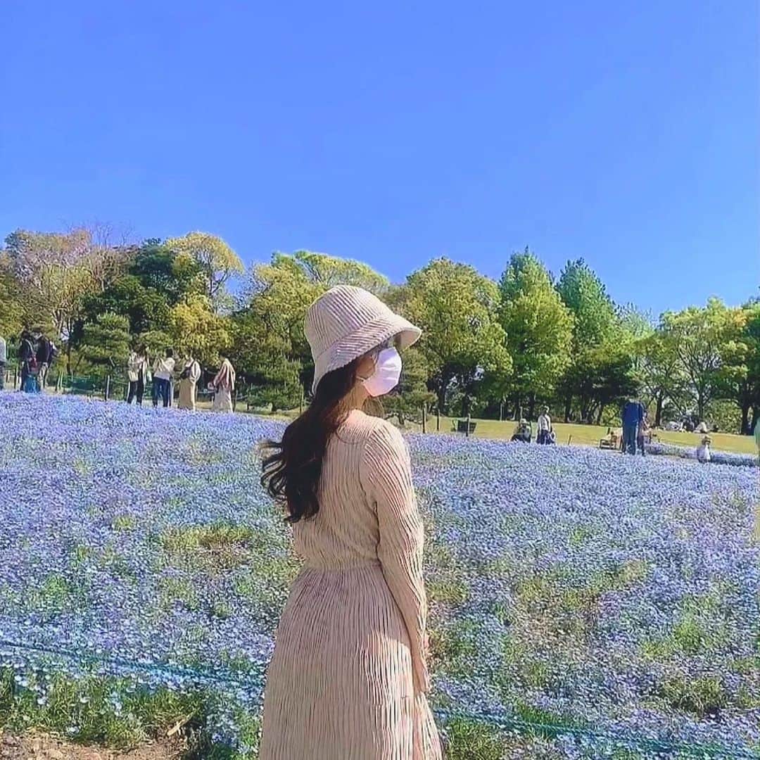 内山絵里加さんのインスタグラム写真 - (内山絵里加Instagram)「・ ・ GW後半スタートですね👱🏻‍♀️ ・ きょうのメッセージテーマ　 『GWなにする？なにしてる？なにしたかった？』 にもあったネモフィラ。 ・ 来年は、見に行くぞ𓂃 🦕... 最近、花不足なので 過去の写真で満たされています。 ・ GW後半、静岡はお天気にも 恵まれそうですね❤︎ 晴れてるだけで、わくわくします。 あしたも、ふくわうちは13時から3時間生放送です♩ みなさんの午後に福がきますように𓂃 𓈒𓏸◌‬ ・ #ネモフィラ #GW #ゴールデンウィーク」5月3日 16時55分 - erika.uchiyama1129