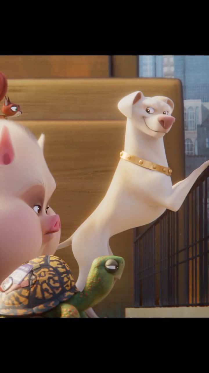 ドウェイン・ジョンソンのインスタグラム：「Stand back JUSTICE LEAGUE…we got this! 🐕 🐢 🐿 🐖 🐩💥   Introducing our NEW trailer for @DCLeagueofSuperPets 🔥🔥@SevenBucksProd and our partners at @WBPictures @DCComics are welcoming you and your families back to theaters with an EPICALLY FUN movie-going experience for the entire world to enjoy 🌎🍿🎥   Get ready DC UNIVERSE - the coolest, most bad ass superhero posse is coming to town.   LFG and have some FUN!  #DCSuperPets  ONLY IN THEATERS JULY 29TH! 🌍」