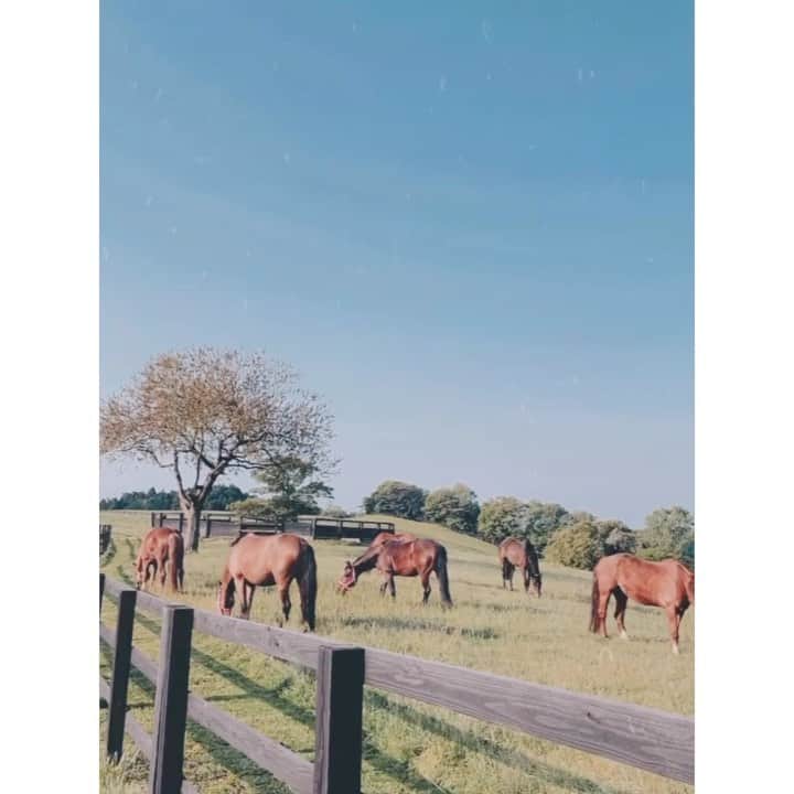 紗栄子のグルメインスタ