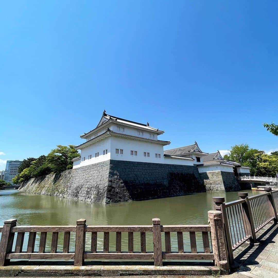 吉田美紀のグルメインスタ