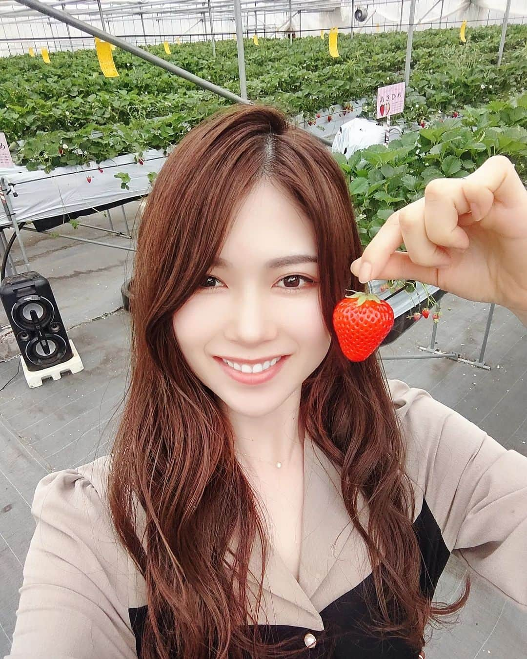 一ノ瀬奈々さんのインスタグラム写真 - (一ノ瀬奈々Instagram)「． ． ． いちご狩り🍓 もう100粒も食べれない🤣 ． ． #いちご狩り #🍓#苺 #フリーモデル #企業モデル #広告モデル #撮影モデル #サロンモデル #一ノ瀬奈々 #車好きな人と繋がりたい #ファッション #コーデ #ナチュラルメイク #春 #カメラ #車好き #cx3 #car #golf #portrait #photo」5月4日 10時54分 - 2008sn2010