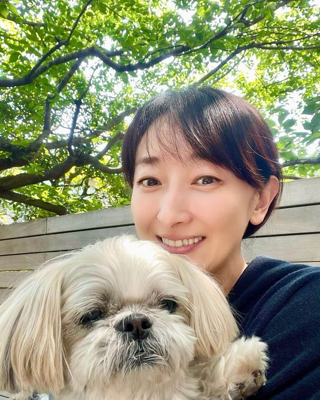 花總まりさんのインスタグラム写真 - (花總まりInstagram)「皆様GW、如何お過ごしですか？ 私はバイオームの台本と睨めっこの毎日ですが、今日は少しだけ久しぶりにらぴ太と静かな場所で癒しの時間を過ごしました☺️☀️ なんだか眠そうならぴ太😅  髪の毛ゆるく結んでいたからなんだかショートヘアに見える😅  @lappy444  #らぴ太広報部長 #シーズー #花總まり」5月4日 15時18分 - hanafusamari_official