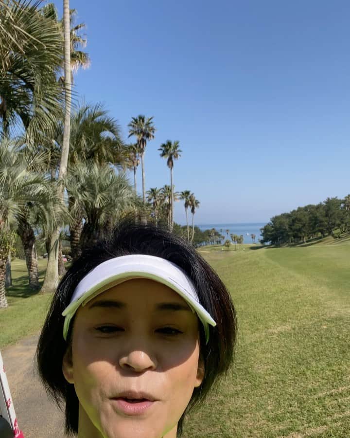 高嶋ちさ子のグルメインスタ